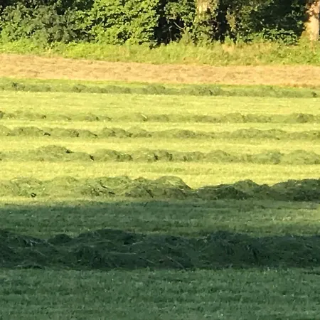 Fischer * Frickingen